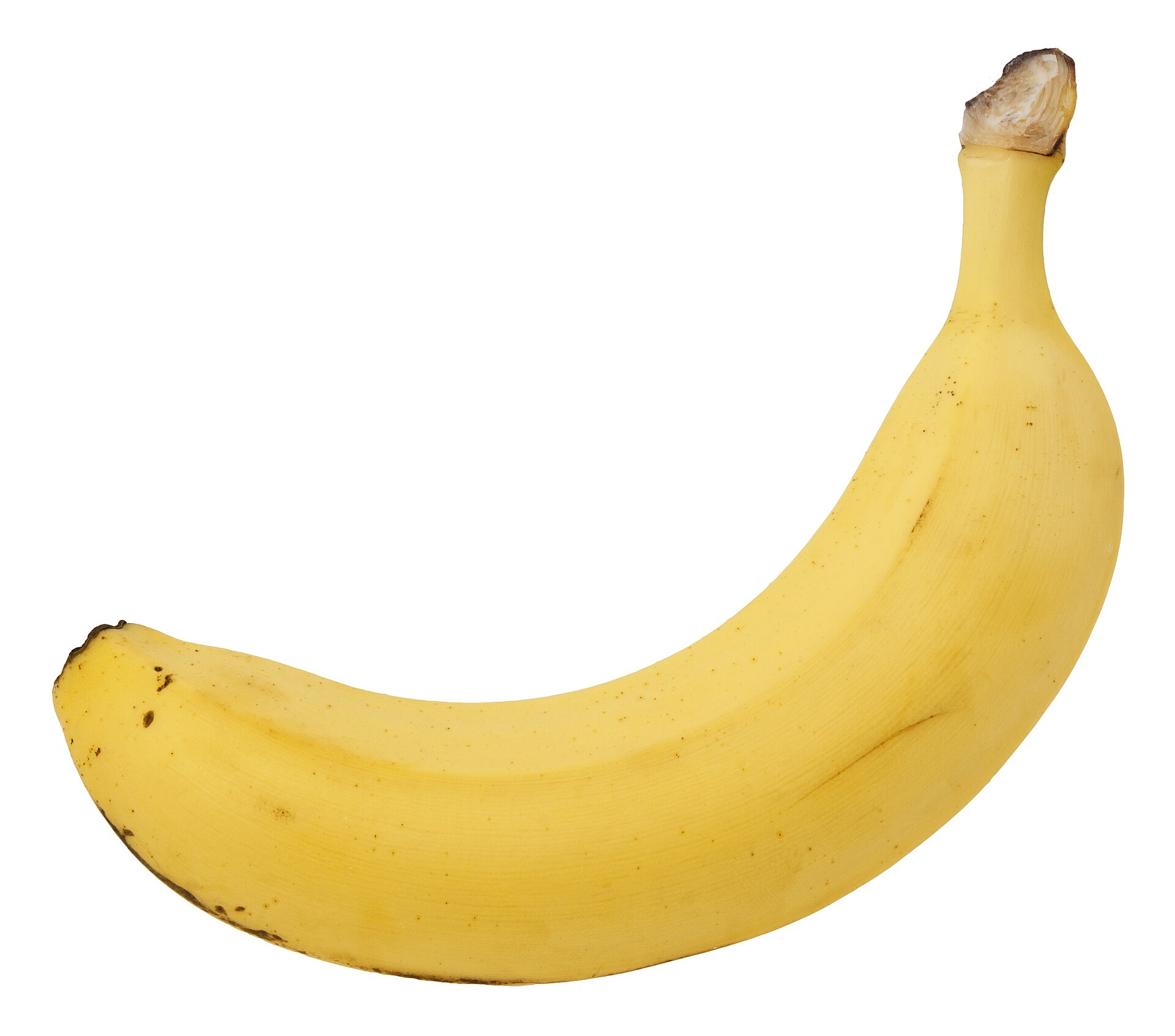 Single yellow Cavendish banana